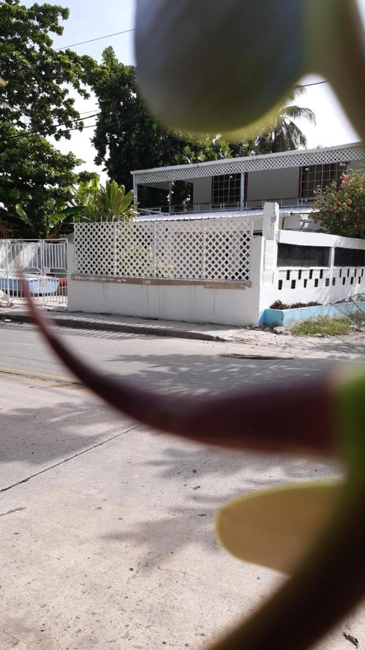 Joebi'S House Walking Distance To Rocky Cay Beach Ideal For Families Or Groups Buenavista  Extérieur photo